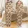 Personalized Pet Photo Pajamas: Custom Dog & Cat Name Portrait Pattern, Soft Brushed Polyester Sleepwear Satin Pajamas Set - 1