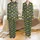Men's Whimsical Dinosaur Bone Satin Lounge Pants: Vibrant Green T-Rex Stegosaurus Print Satin Pajamas Set - 1