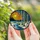 Nature Lovers' Stained Glass Winter Forest Birch Tree Radiant Orange Blue Sunset Glow Art Stained Glass Suncatcher - 5
