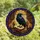 Dark Academia Fans' Tiffany Stained Glass Raven Books Library Amber Violet Sapphire Mosaic Pattern Stained Glass Suncatcher - 4