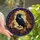 Dark Academia Fans' Tiffany Stained Glass Raven Books Library Amber Violet Sapphire Mosaic Pattern Stained Glass Suncatcher - 3