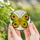 Nature Lovers' Tiffany Stained Glass Butterfly Ornate Sunflower Luminous Yellow Golden Emerald Green Design Stained Glass Suncatcher - 5
