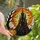 Halloween Enthusiasts' Intricate Stained Glass Glowing Pumpkin Gothic Castle Orange Amber Green Stained Glass Suncatcher - 3