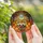 Bookworms & Autumn Lovers' Edge-to-Edge Tiffany Stained Glass Reading Ghost, Jewel Tone Autumn Foliage & Pumpkins Stained Glass Suncatcher - 5