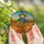 Autumn Lovers' Whimsical Tiffany Glass Scarecrow Blue Orange Plaid Pumpkin Harvest Design Stained Glass Suncatcher - 5