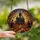 Halloween Enthusiasts' Intricate Stained Glass Gothic Haunted Mansion Witches Bats Autumn Twilight Jewel Tones Art Stained Glass Suncatcher - 2