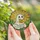 Whimsical Art Enthusiasts Stained Glass Cute Ghost Reading Orange Book Pink Butterfly Sunbeam Foliage Mosaic Stained Glass Suncatcher - 5