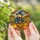 Autumn Lovers' Intricate Stained Glass Scarecrow Cobalt Blue Plaid Hat Pumpkin Field Mosaic Stained Glass Suncatcher - 5