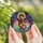 Fantasy Art Lovers' Majestic Western Dragon Stained Glass Mosaic Jewel Tones Celestial Pattern Stained Glass Suncatcher - 5