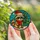 Holiday Animal Lovers' Whimsical Stained Glass Raccoon Santa Hat Christmas Tree Blue Winter Snow Stained Glass Suncatcher - 5