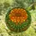 Art Lovers' Tiffany Stained Glass Marigold Flower Vibrant Orange Yellow Emerald Green Mosaic Stained Glass Suncatcher - 4