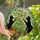 Cat Lovers' Vibrant Tiffany Stained Glass Black Cats, Yellow Blossoms & Orange Pumpkin Garden Mosaic Stained Glass Suncatcher - 3
