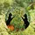 Cat Lovers' Vibrant Tiffany Stained Glass Black Cats, Yellow Blossoms & Orange Pumpkin Garden Mosaic Stained Glass Suncatcher - 4