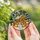 Nature Lovers' Intricate Jewel Tone Stained Glass Winter Squirrels Cozy Cabin Forest Mosaic Pattern Stained Glass Suncatcher - 5