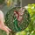 Fantasy Art Lovers' Tiffany Style Stained Glass Fairy Intricate Rose Pink Green Forest Design Stained Glass Suncatcher - 3