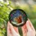 Holiday Nature Lovers' Tiffany Stained Glass Squirrel Candle Winter Forest Emerald Red Gold Design Stained Glass Suncatcher - 5