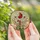 Nature Lovers' Vibrant Stained Glass Cardinal Cross Spring Floral Mosaic Art Stained Glass Suncatcher - LARObk1Ql4