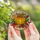 Autumn Lovers' Vibrant Tiffany Stained Glass Pumpkin & Autumn Floral Mosaic Stained Glass Suncatcher - 5