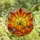 Autumn Lovers' Jewel Tone Tiffany Stained Glass Plump Pumpkins Fall Leaves Radiant Sunset Art Stained Glass Suncatcher - 4