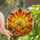 Autumn Lovers' Jewel Tone Tiffany Stained Glass Plump Pumpkins Fall Leaves Radiant Sunset Art Stained Glass Suncatcher - 3