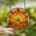 Autumn Lovers' Jewel Tone Tiffany Stained Glass Plump Pumpkins Fall Leaves Radiant Sunset Art Stained Glass Suncatcher - 2