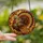 Autumn Enthusiasts' Majestic Tiffany Style Turkey Iridescent Feather Jewel Tone Mosaic Stained Glass Suncatcher - 2JjcnS1ano