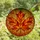 Nature Lovers' Vibrant Tiffany Stained Glass Maple Leaf Mosaic Art, Autumnal Jewel Tones, Intricate Patterns Stained Glass Suncatcher - 4