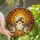 Halloween Lovers' Whimsical Edge-to-Edge Stained Glass Ghost Raccoon & Glowing Jack-o'-Lantern Autumn Mosaic in Orange Yellow Purple Green Stained Glass Suncatcher - 3