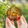 Autumn Enthusiasts' Vibrant Stained Glass Pumpkin Harvest Scene with Glowing Maple Leaves and Cozy Plaid Stained Glass Suncatcher - 5