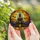 Gothic Art Lovers' Intricate Tiffany Stained Glass Haunted Castle Orange Moon Bats Jack-O'-Lanterns Stained Glass Suncatcher - 5