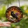 Art Lovers' Intricate Stained Glass Crow Skull Dahlia Celestial Jewel Tones Stained Glass Suncatcher - Nw3psmG8_-