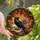 Art Lovers' Intricate Stained Glass Crow Skull Dahlia Celestial Jewel Tones Stained Glass Suncatcher - kgwRkfbyDy