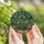 Plant Lovers' Intricate Tiffany-Style Stained Glass Emerald Green Sky Blue Amethyst Botanical Greenhouse Mosaic Stained Glass Suncatcher - 5