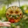Autumn Art Enthusiasts' Vibrant Tiffany Stained Glass Sunflowers Pumpkins Sun Rays Mosaic Stained Glass Suncatcher - 2
