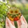 Autumn Art Enthusiasts' Vibrant Tiffany Stained Glass Sunflowers Pumpkins Sun Rays Mosaic Stained Glass Suncatcher - 4
