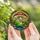 Nature Lovers' Intricate Stained Glass Content Green Frog Mushroom Jewel Tone Mosaic Stained Glass Suncatcher - JP1hKksWHw