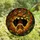 Nature Lovers' Cute Upside Down Bat Tiffany Stained Glass Forest Mosaic Deep Brown Green Orange Stained Glass Suncatcher - 5