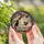 Whimsical Art Aficionados' Stained Glass Ghost Black Cat Magic Bathtub Autumnal Jewel Tones Stained Glass Suncatcher - 4