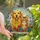 Pet Lovers' Tiffany Stained Glass Golden Retriever Cat Wildflower Sunburst Art Stained Glass Suncatcher - EaM5mxtlpm