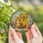 Pet Lovers' Tiffany Stained Glass Golden Retriever Cat Wildflower Sunburst Art Stained Glass Suncatcher - FlP8-T_0Kp