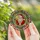 Festive Art Lovers' Intricate Tiffany Style Stained Glass Smiling Santa Mosaic Red Gold Teal Geometric Design Stained Glass Suncatcher - 4