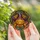 Halloween Admirers' Tiffany Stained Glass Jack-o'-Lantern Witch Hat Autumn Jewel Tone Mosaic Stained Glass Suncatcher - 4