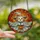 Halloween Enthusiasts' Intricate Stained Glass Fluffy Puppy Witch Orange Ghostly Cloak Autumn Mosaic Stained Glass Suncatcher - 2