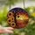 Art Lovers' Vibrant Edge-to-Edge Tiffany Stained Glass Tree, Heart Locket, Sunflowers, Sunset Mosaic Stained Glass Suncatcher - UWoJj7T1AL