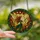 Fantasy Art Lovers' Tiffany Style Stained Glass Fairy Golden Wings Holly Border Emerald Teal Amber Mosaic Stained Glass Suncatcher - 2