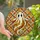 Whimsical Art Fans' Intricate Tiffany Stained Glass Ghost Milky White Cream Amber Orange Brown Mosaic Stained Glass Suncatcher - 1