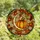Autumn Enthusiasts' Glowing Tiffany Stained Glass Crescent Moon Pumpkin Floral Mosaic Stained Glass Suncatcher - 4