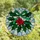 Winter Art Lovers Tiffany Style Stained Glass Holly Berries Emerald Ruby Jewel Tone Winter Sky Mosaic Stained Glass Suncatcher - v4H9AAch8o