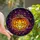 Halloween Enthusiasts' Spooky Stained Glass Jack-o'-Lantern Celestial Mosaic Jewel Tones Stained Glass Suncatcher - 1