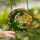 Celestial Art Admirers' Tiffany Stained Glass Crescent Moon & Star-Shaped Botanical Mosaic in Emerald Green Golden Amber Stained Glass Suncatcher - 2